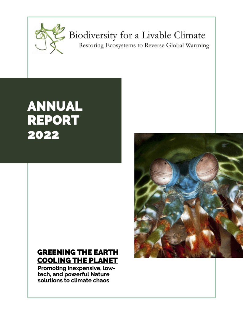 2022 Annual Report Thumbnail