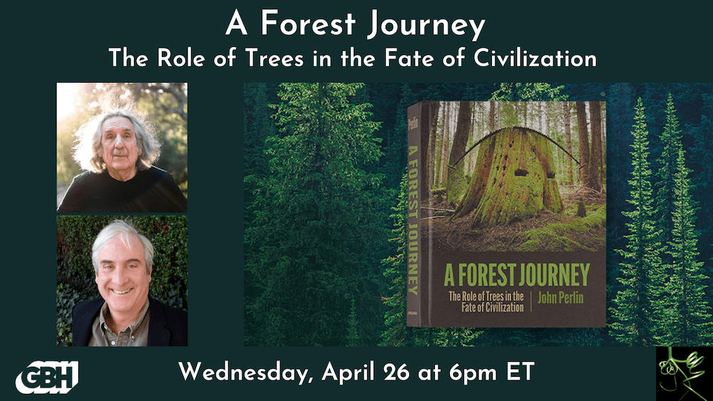 A Forest Journey – Wednesday April 26