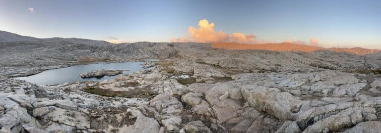Featured Creature: Eastern Emerald Elysia - Biodiversity for a Livable ...