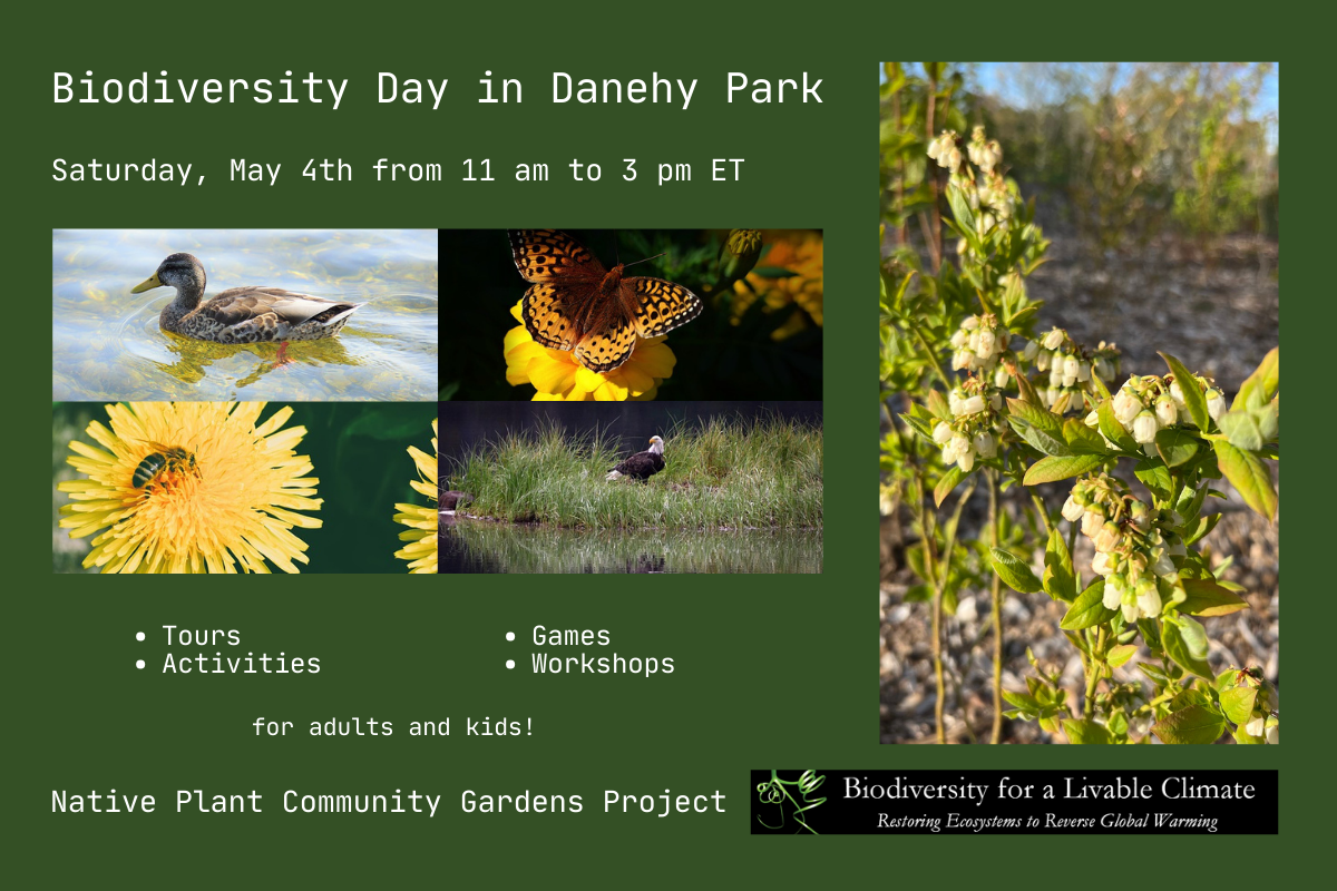 Biodiversity Day in Danehy Park – Saturday, May 4