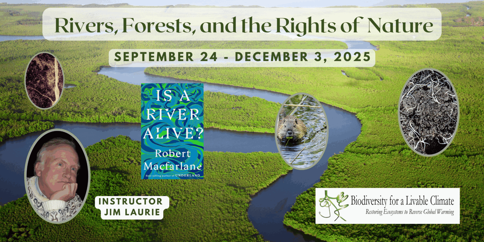Registration for the FREE WEBINAR: Rivers, Forests, and the Rights of Nature