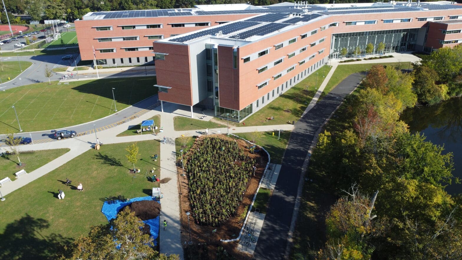 An Intergenerational Miniforest Now Grows in Belmont, MA