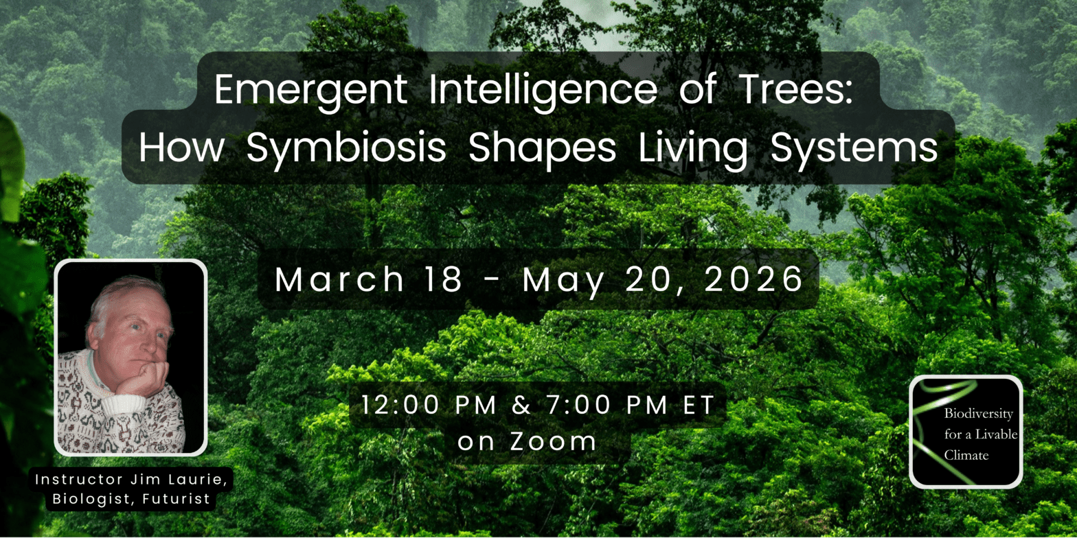 Scholarship Registration for Biodiversity 14: Emergent Intelligence of Trees