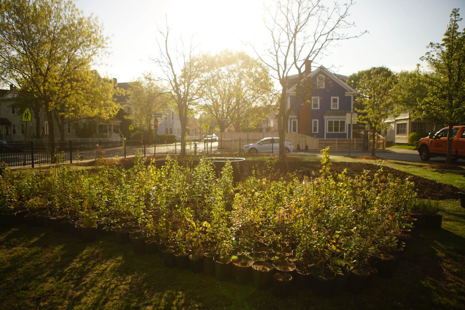 Peabody Elementary School Miniforest