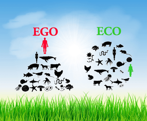 Ego vs Eco: How Human, Animal, and Planet Health Interconnect