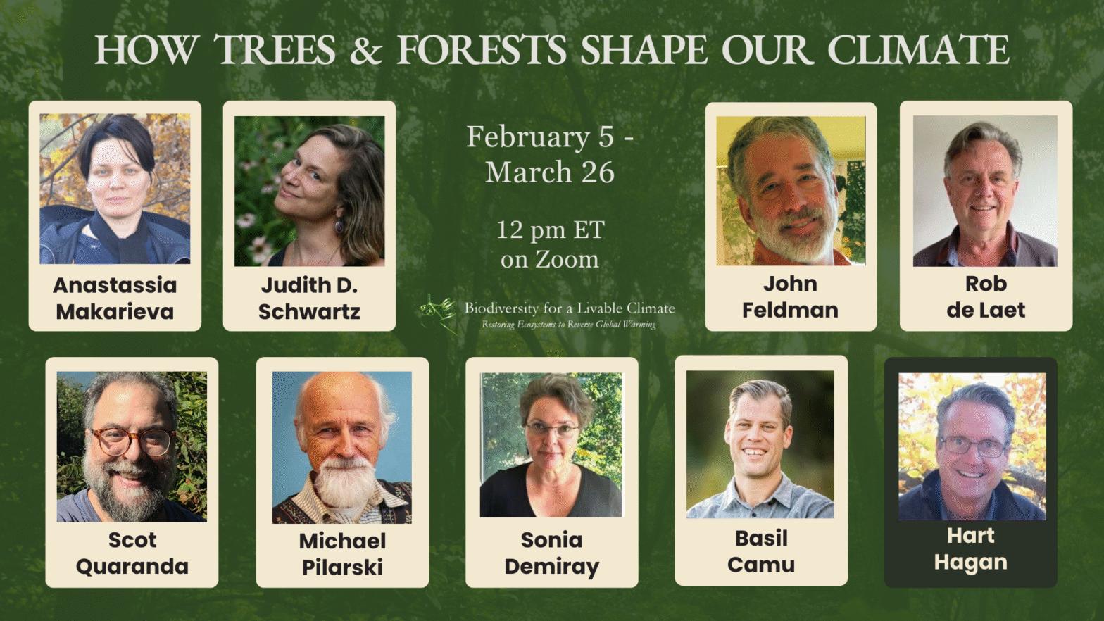 How Trees & Forests Shape Our Climate