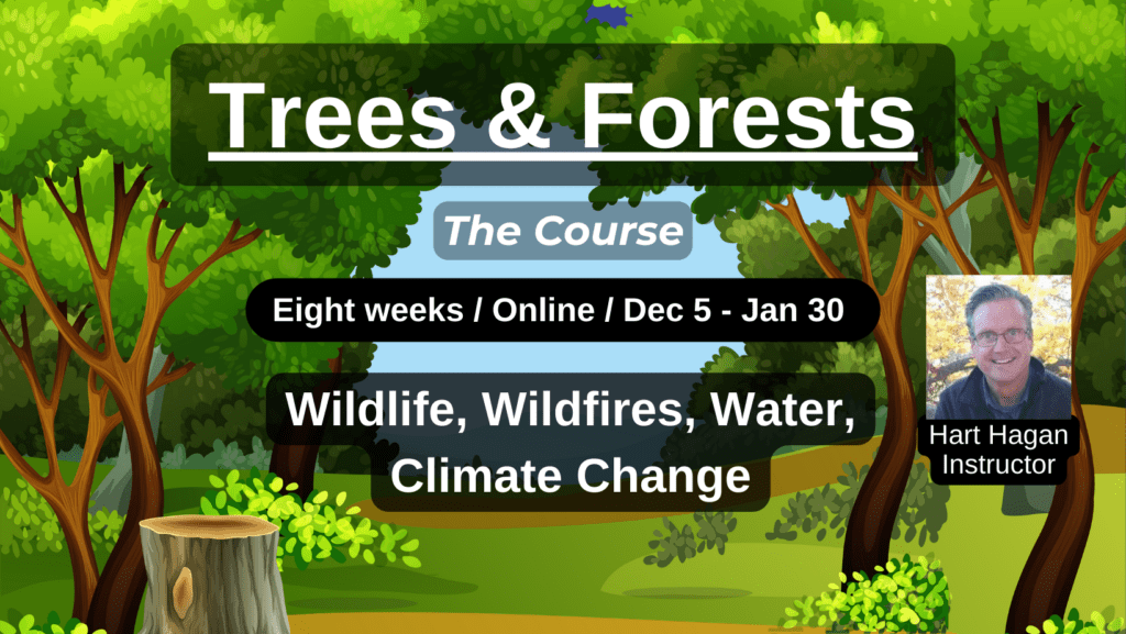 Trees & Forests — Wildlife, Wildfires, Water Cycles & Climate Change — starts December 5