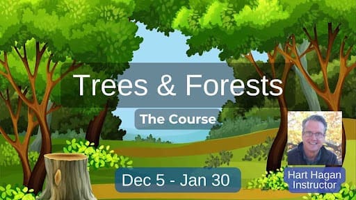 Registration for Trees & Forests