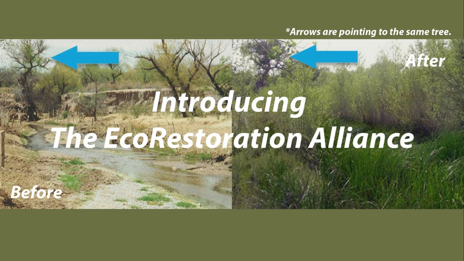 Introducing the EcoRestoration Alliance