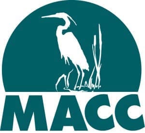 MACCTeal