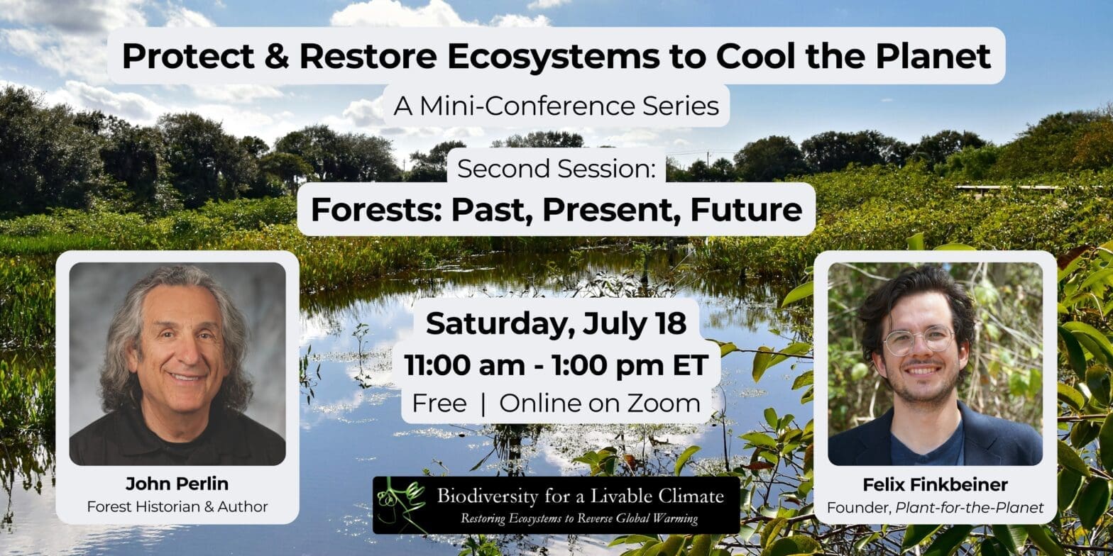 Protect and Restore Ecosystems to Cool the Planet