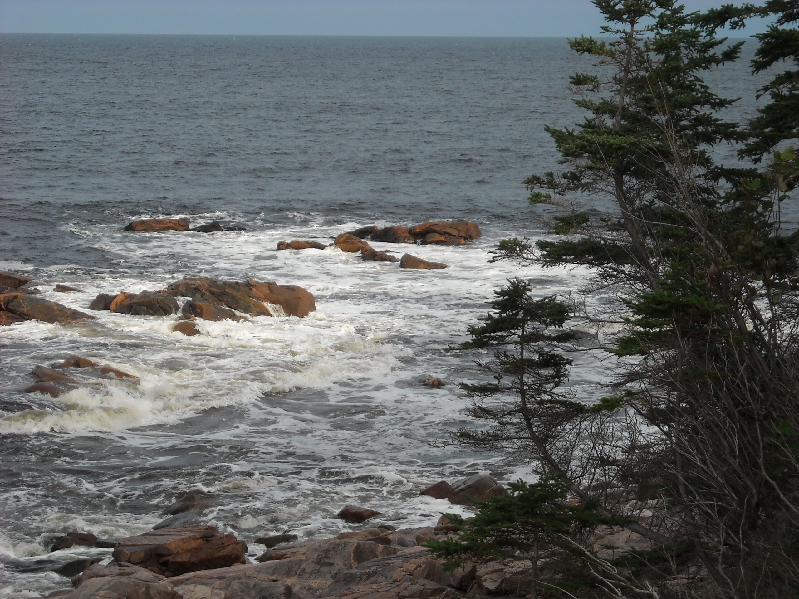 Biodiversity 11: Warming Oceans, Moving Shorelines & Sea Level Rise – with Jim Laurie