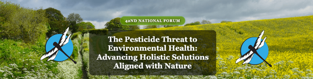 Featured Creature: Eastern Emerald Elysia - Biodiversity for a Livable ...