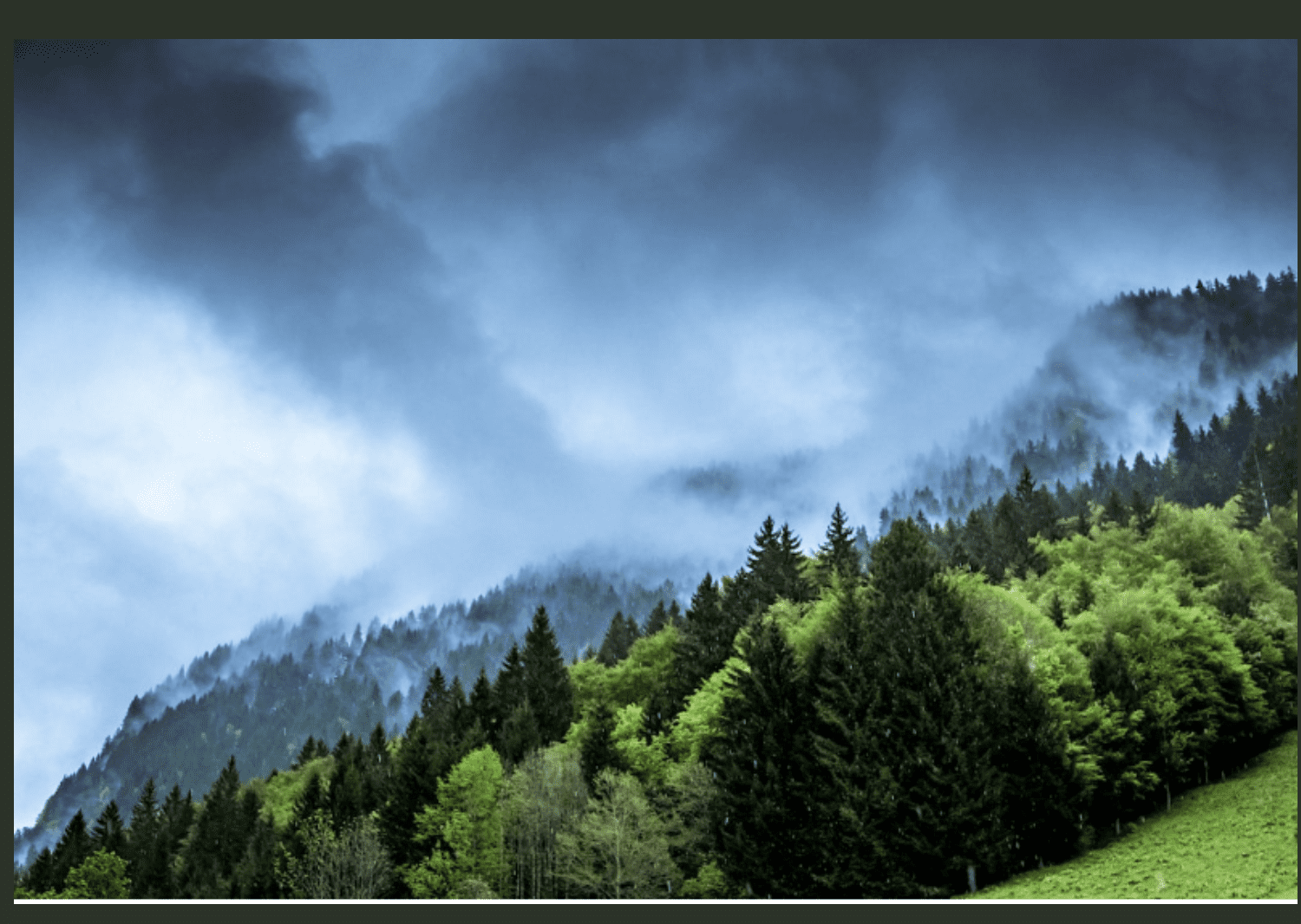 Intact ecosystems stabilize climate. Intact ecosystems stabilize climate.
