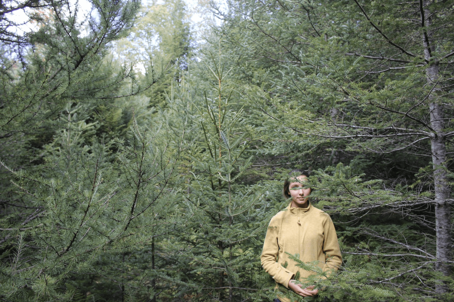 Featured Creature: Tamarack