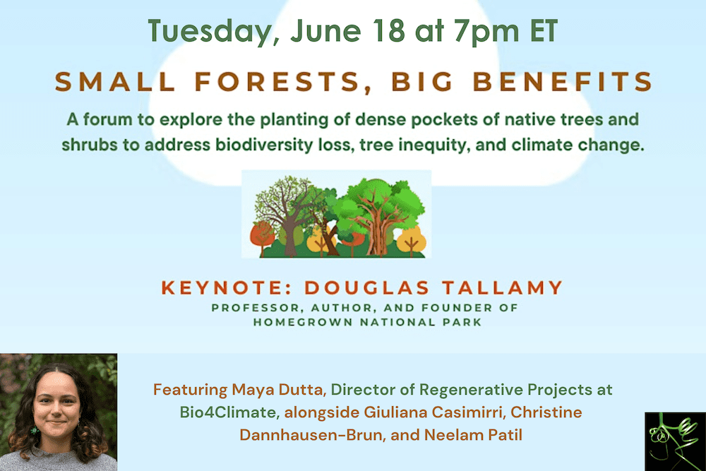 Small Forests, Big Benefits – Tuesday June 18