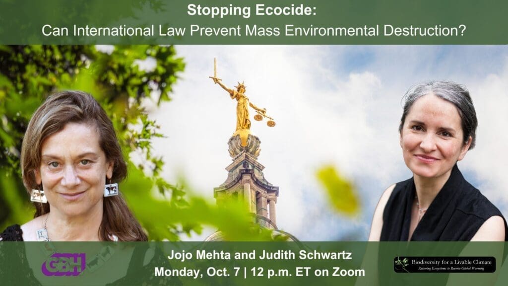 Stopping Ecocide: Can International Law Prevent Mass Environmental Destruction?