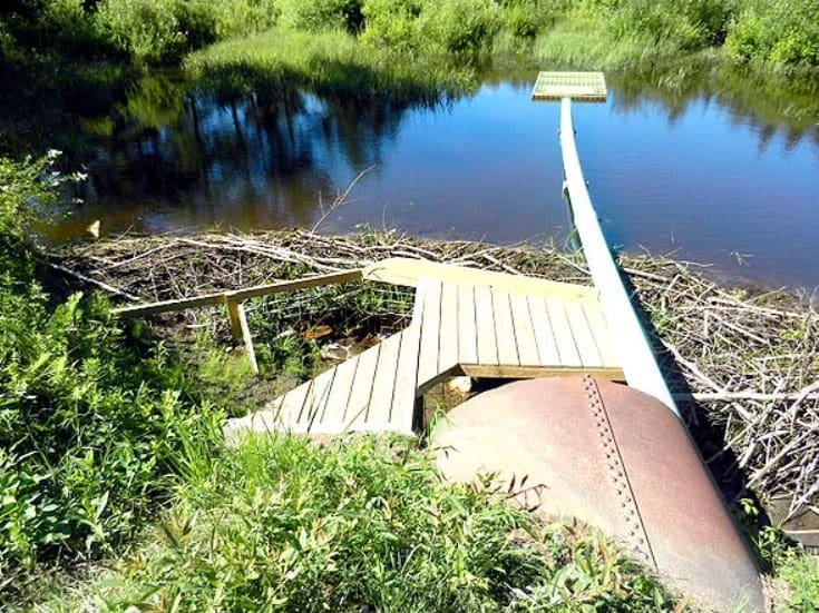 State-of-the-Art Beaver Deceiver™ in Marlboro VT