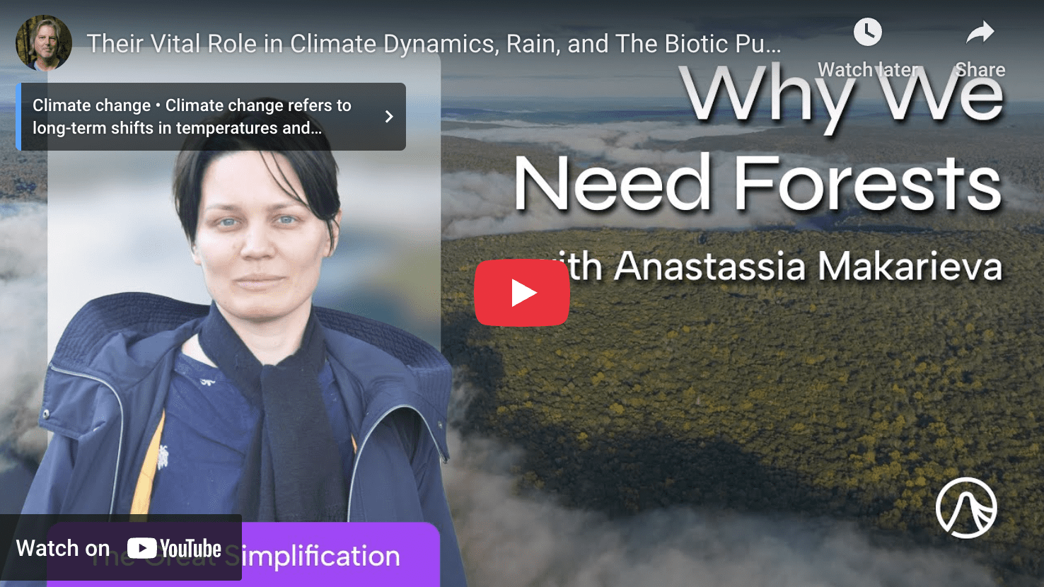 Featured Creature: Eastern Emerald Elysia - Biodiversity for a Livable ...