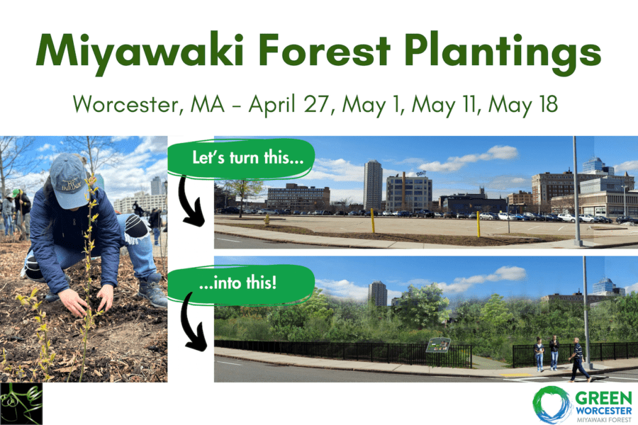 Miyawaki Forest Planting – Extra Installation Date June 12