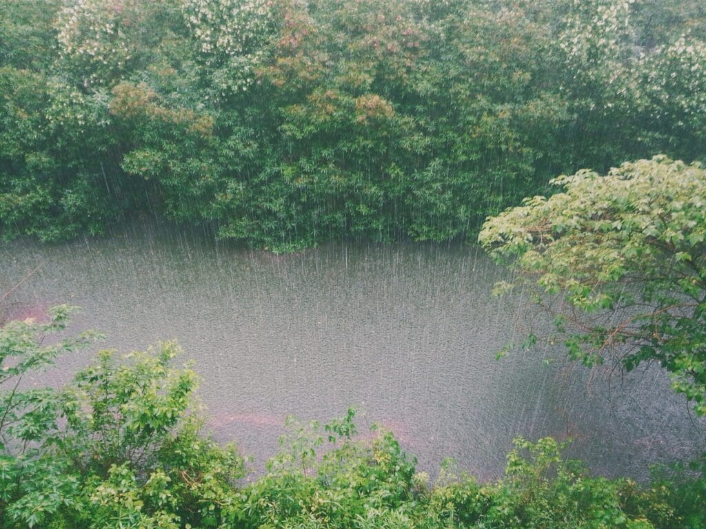 Image of Rainfall on a river