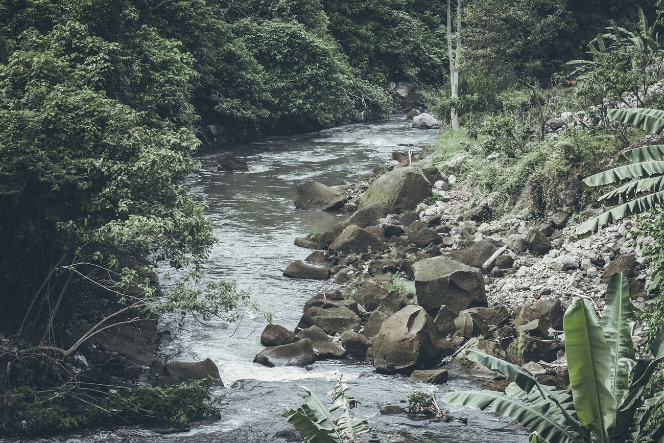 River, nature landscape