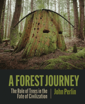 A Forest Journey The Role of Trees in the Fate of Civilization John Perlin (Author)