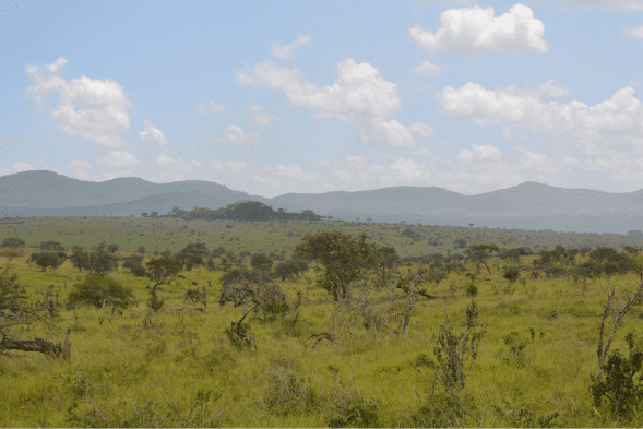 Savanna landscape in the LUMO Community Wildlife Sanctuary Kenya