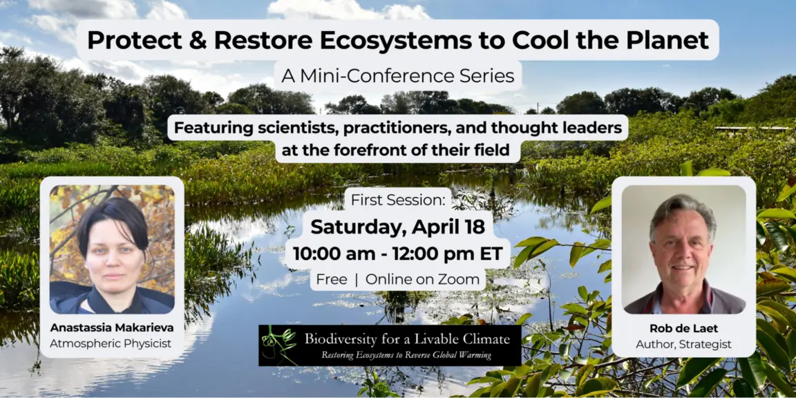 Protect and Restore Ecosystems to Cool the Planet Flyer