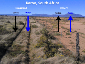 Karoo Image w Lables