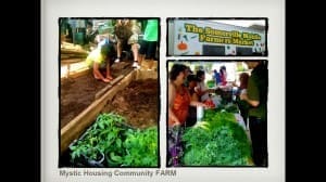 Mystic Housing Community Farm