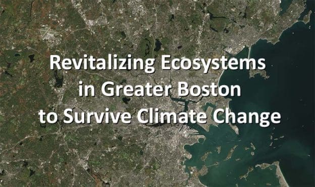 Revitalizing Ecosystems in Greater Boston to Survive Climate Change
