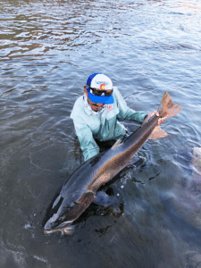 Featured Creature: Siberian Taimen