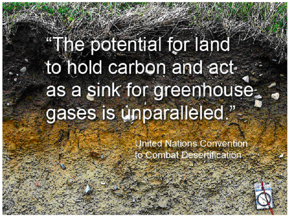 unccd potential of land as carbon sink