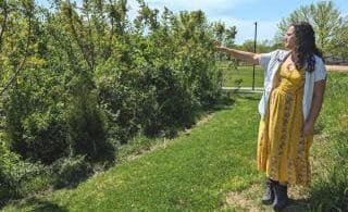 The Miyawaki Movement: Tiny Forests Sow Possibility and Cultivate Resilient Communities